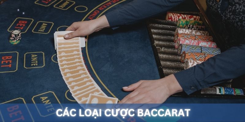 Các loại cược Baccarat King88