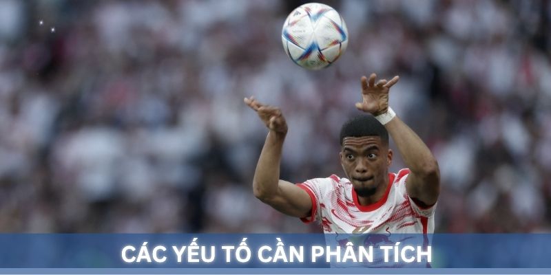 Các yếu tố cần phân tích khi tham gia cá cược ném biên