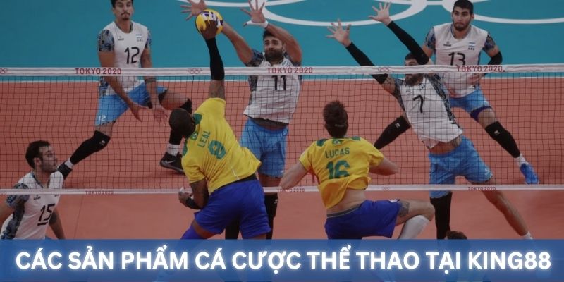 Các sản phẩm cá cược thể thao được yêu thích nhất King88